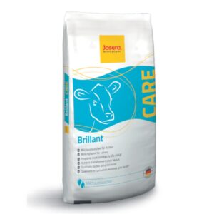 BRILLANT – 25 kg